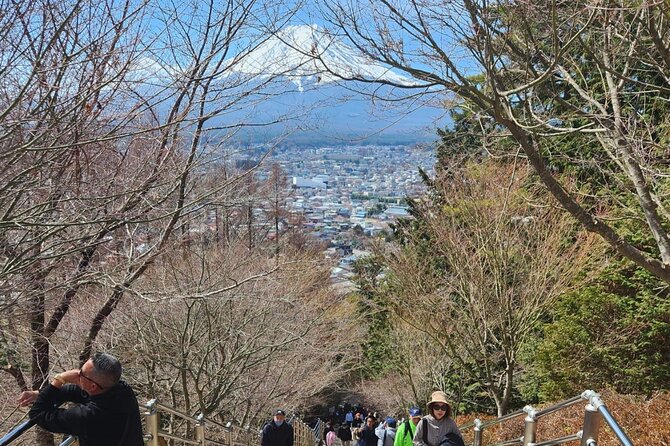 Mt.Fuji view Hakone Private tour with English speaking driver - Hakone Jinja area and Kuzuryu Jinja Shingū by the lake