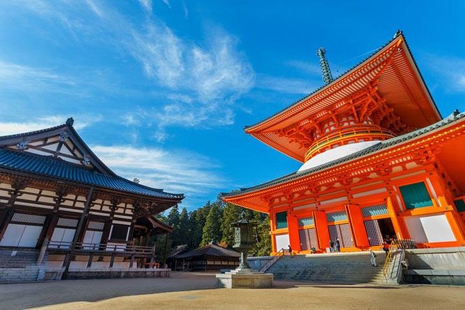 Mt. Koya Sacred Full-Day Private Tour (Osaka departure) with Licensed Guide - Okunoin Cemetery: Kobo Daishi’s resting place and the walk that slows you down