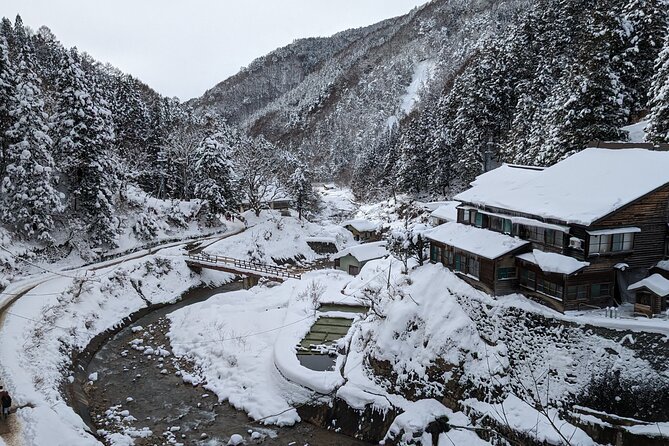 Nagano Snow Monkey 1 Day Tour with Beef Sukiyaki Lunch from Tokyo - Shinshu Fruitsland Stop: Beef Sukiyaki, Souvenirs, and a Warm Reset