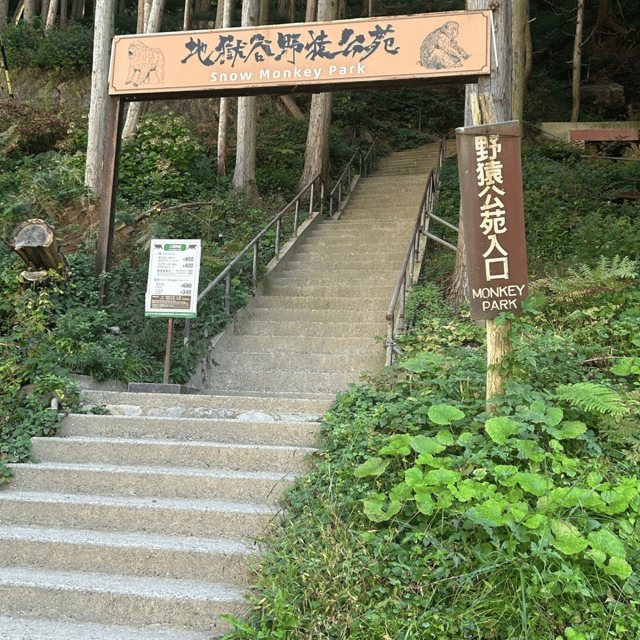 Nagano/Tokyo: Snow Monkey Private Day Tour At Lowest Rate - A Private Nagano Day That Starts With Snow Monkeys