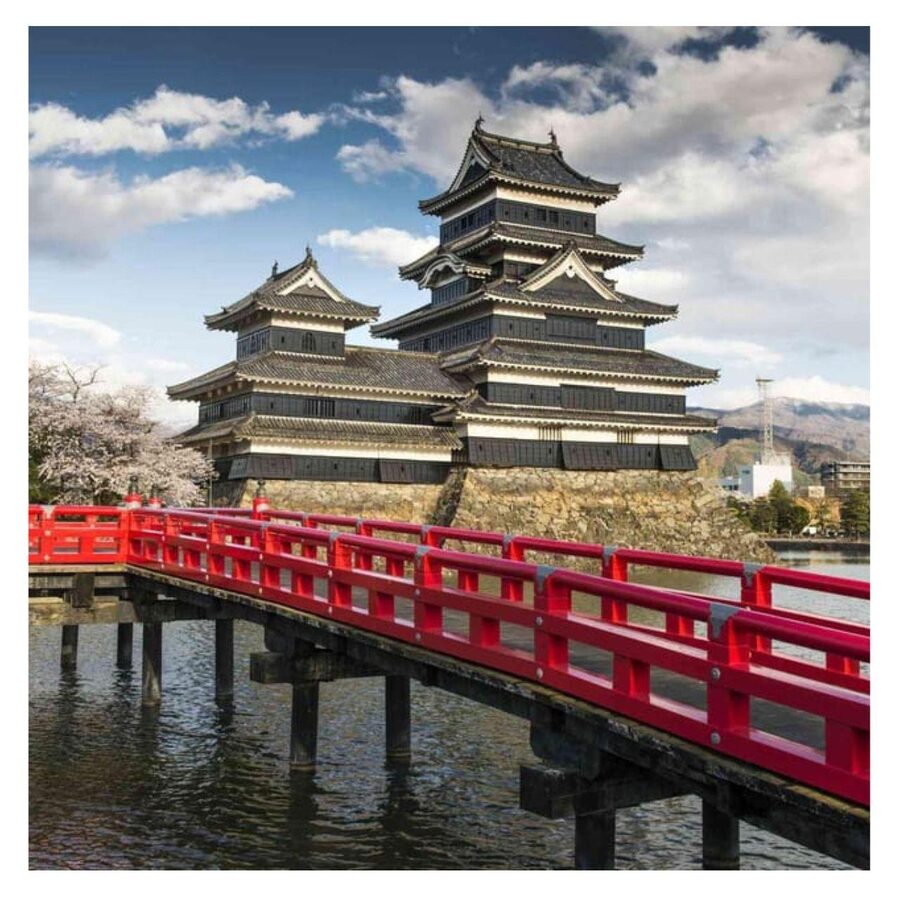 Nagano/Tokyo: Snow Monkey Private Day Tour At Lowest Rate - Matsumoto Castle: Crow Castle Views and Feudal Defense Thinking