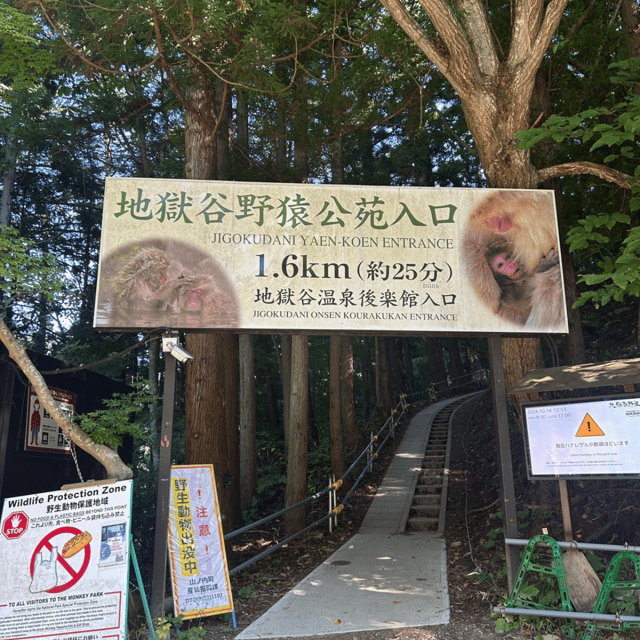 Nagano/Tokyo: Snow Monkey Private Day Tour At Lowest Rate - Getting to Jigokudani: The Car Time and the Winter Reality