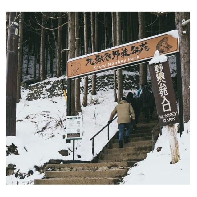 Nagano Tokyo: Snow Monkey Private Day Tour Hotel Pick & Drop - Togakushi Okusha, Cedar Mountains and Shrine Silence