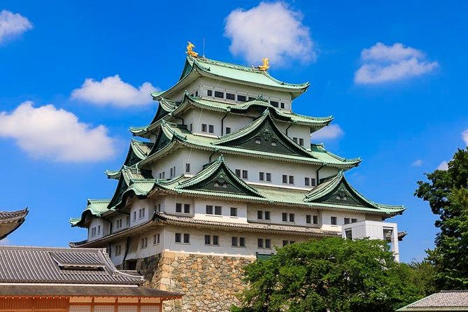 Nagoya Full-day Private Custom Tour with National Licensed Guide - Key things that make this Nagoya tour work