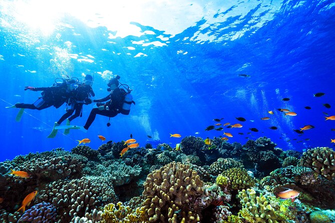 Naha: Full-Day Introductory diving & Snorkeling in the Kerama Islands, Okinawa - Snorkeling in the Kerama Marine Park: how you get variety without rushing
