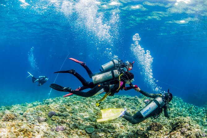 Naha: Full-Day Introductory diving & Snorkeling in the Kerama Islands, Okinawa - Who should book, and who should think twice
