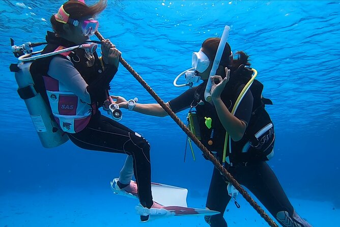 Naha: Full-Day Introductory diving & Snorkeling in the Kerama Islands, Okinawa - Marine Club Berry Naha check-in: quick gear fitting, real-world prep