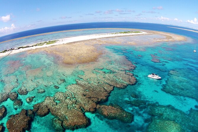 Naha: Full-Day Snorkeling Experience in the Kerama Islands, Okinawa - Marine life highlights: turtles, fish, and even a sea snake