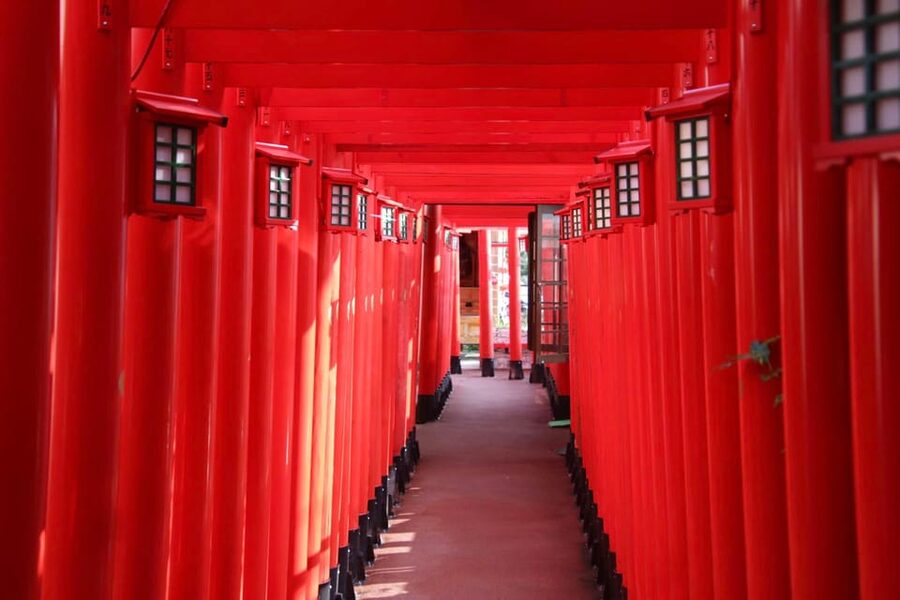 Naha: Guided E-Bike Tour of the 12 Zodiac Temples - Key Highlights You’ll Care About
