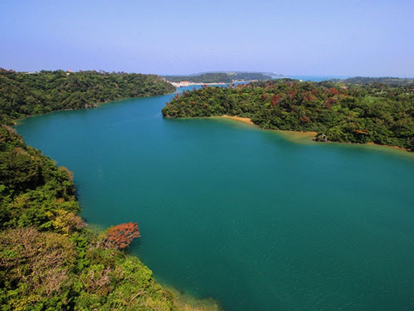 Naha: North Okinawa Sightseeing Tour & Churaumi Aquarium - A Quick Snapshot of What You Can Expect