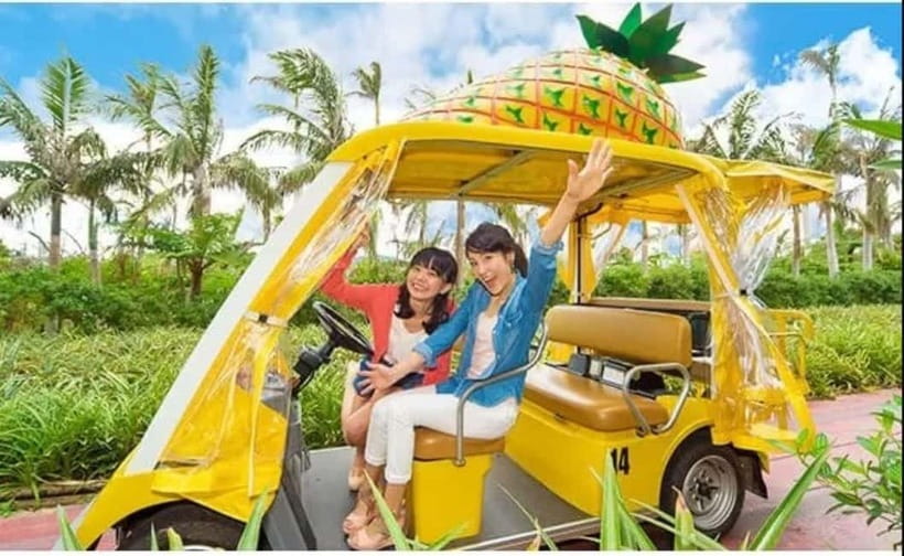 Naha: North Okinawa Sightseeing Tour & Churaumi Aquarium - Okashigoten Onna, Fruit Confections Without the Time Sink