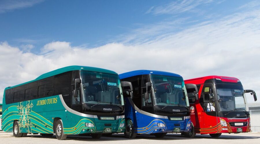 Naha: North Okinawa Sightseeing Tour & Churaumi Aquarium - Timing Reality Check, Why This Feels Long Even When It Runs Smooth