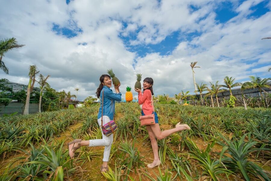 Naha: North Okinawa Sightseeing Tour & Churaumi Aquarium - Nago Pineapple Park, Cart Ride and Quick Gardens