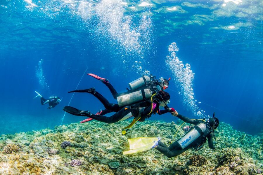 Naha, Okinawa: Kerama Islands Full-Day Intro-Diving Trip - Your day in the water: one intro scuba session, plus up to three snorkel stops