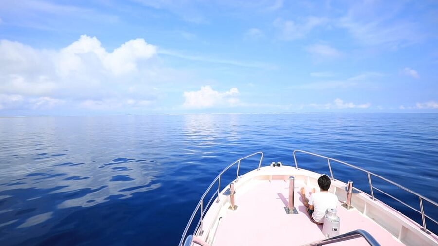 Naha, Okinawa: Kerama Islands Half-Day Whale Watching Tour - Key Highlights