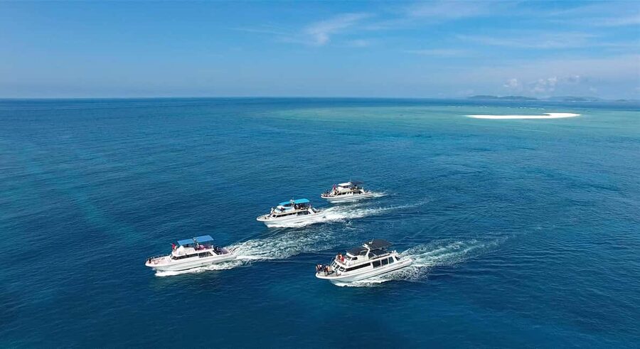 Naha, Okinawa: Kerama Islands Half-Day Whale Watching Tour - Price and Value at About $37: What You’re Paying For