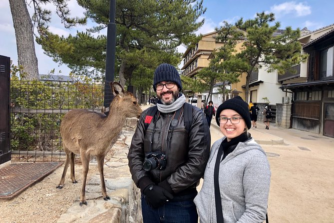 Nara 6hr Private Tour with Government-Licensed Guide - Price and what you are actually paying for
