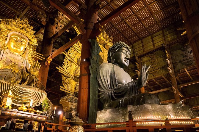 Nara 8hr Private Tour - Kyoto DEP. with Licensed Guide - Wakakusayama Hill: the short walk that can buy you big views
