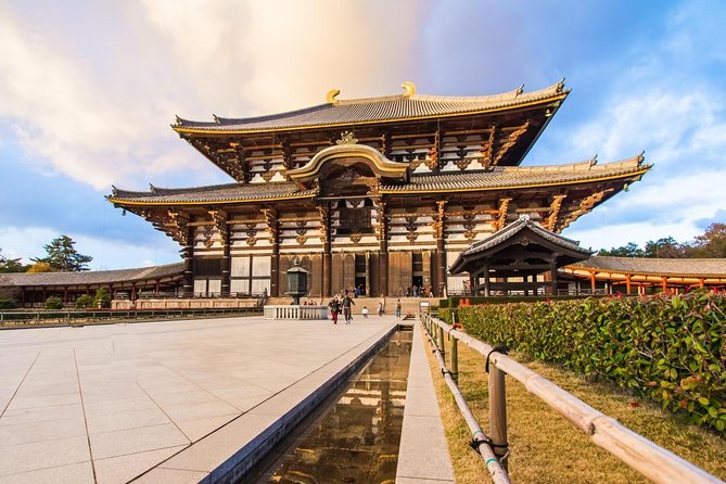 Nara Afternoon Tour from Kyoto or Osaka - Nara Park deer: magical, but treat them with respect