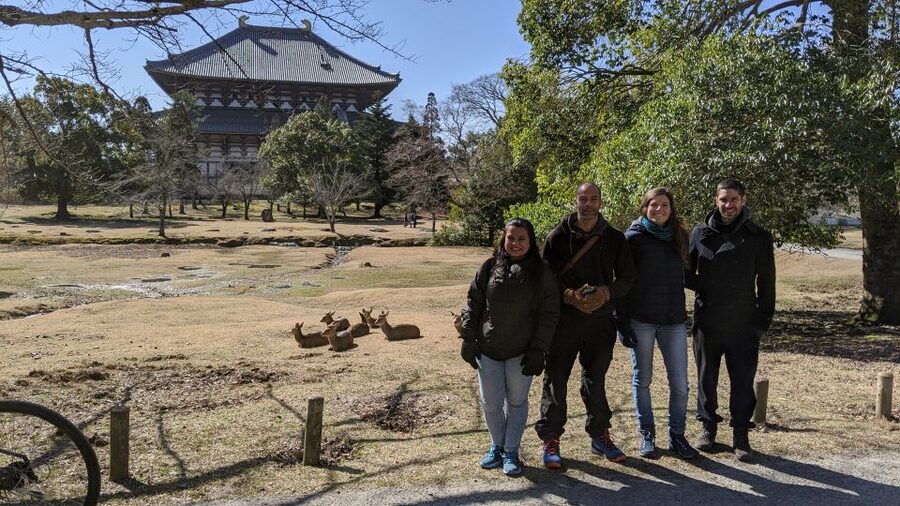 Nara: City Highlights Shared Group or Private Bike Tour - Why a bike tour is the smart way to see Nara Park and more