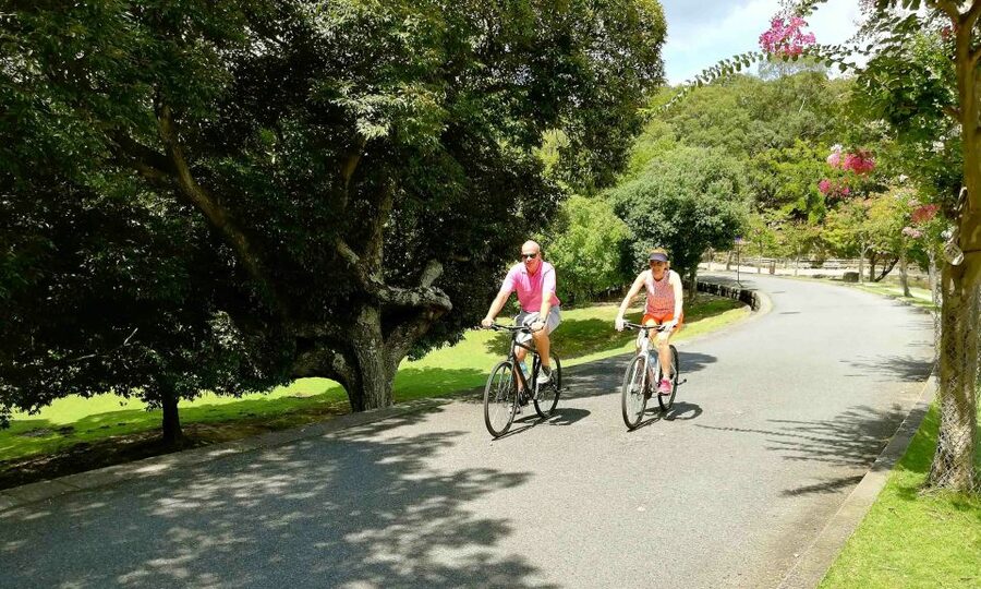 Nara: City Highlights Shared Group or Private Bike Tour - Price and value: what $70 includes, and the one big thing it does not