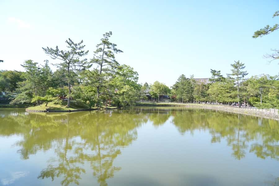 Nara Early Bird Tour (Kyoto Departure Option Available) - Key highlights to know before you go