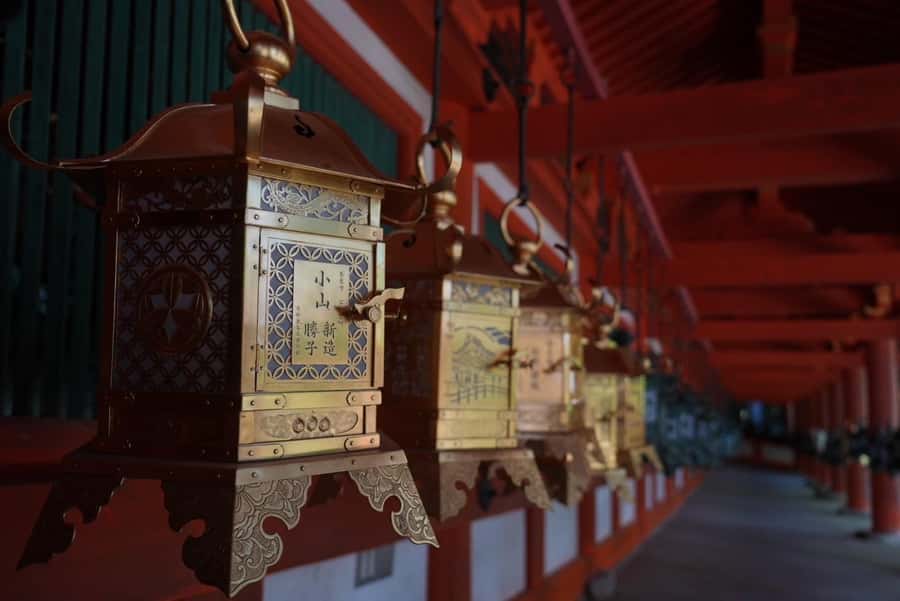 Nara Early Bird Tour (Kyoto Departure Option Available) - Why an early-start Nara tour feels smarter