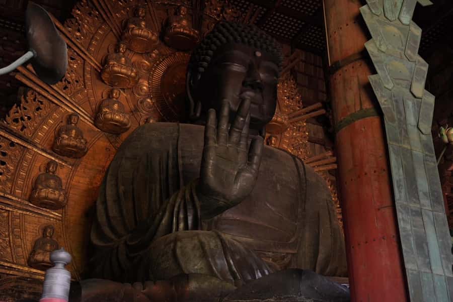 Nara Early Bird Tour (Kyoto Departure Option Available) - Price and value: is $88 actually a good deal?