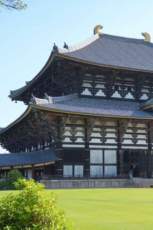 Nara Early Bird Tour (Kyoto Departure Option Available) - Guides make or break half-day tours, and this one is strong