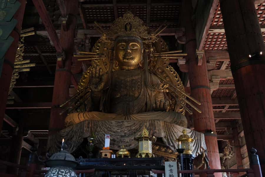 Nara Early Bird Tour (Kyoto Departure Option Available) - Should you book this early Nara option?