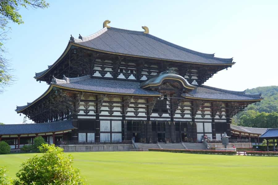 Nara Early Bird Tour (Kyoto Departure Option Available) - The Nara itinerary, stop by stop, and what to expect