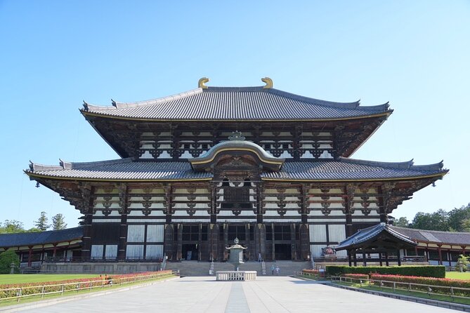 Nara Early Morning Tour (Kyoto or Osaka Departure Available) - Stop 3, Nara Park deer and how to handle the moment
