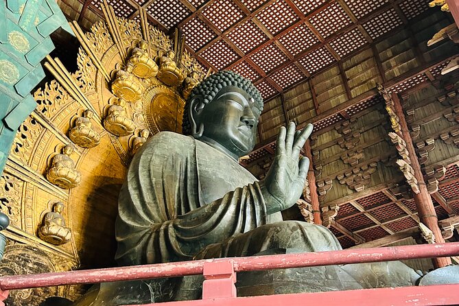 Nara Early Morning Tour (Kyoto or Osaka Departure Available) - Walking plan: 10,000 steps and moderate stamina