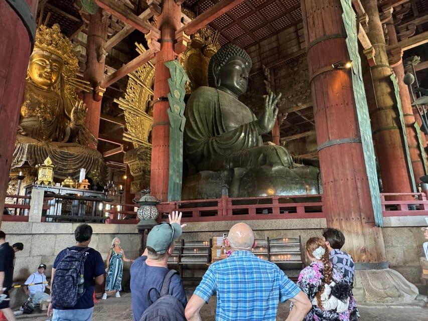Nara: Great Buddha, Kasuga Shrine & Deer Park Tour - Key points worth knowing
