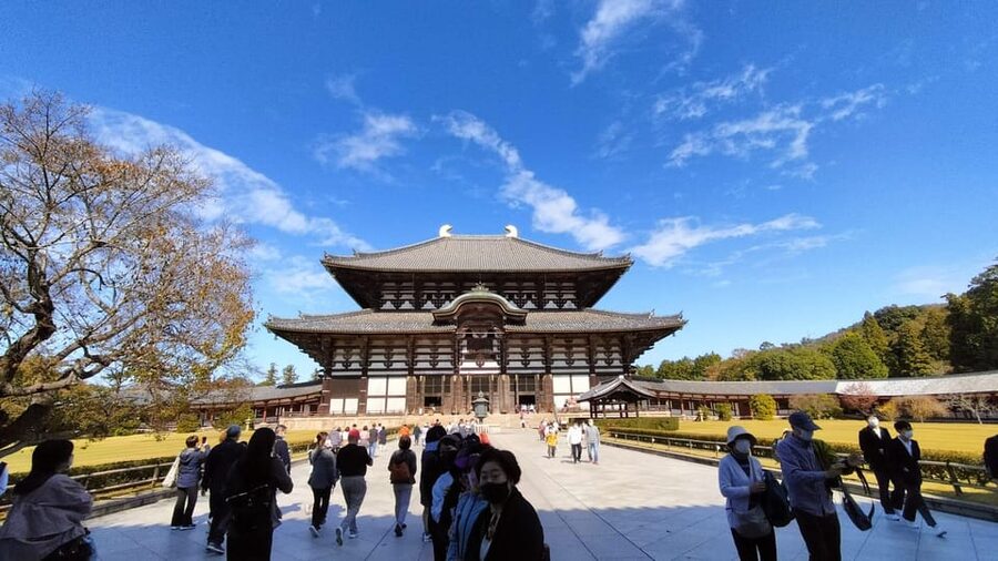Nara: Great Buddha, Kasuga Shrine & Deer Park Tour - Nara Park deer feeding: the part kids and adults remember