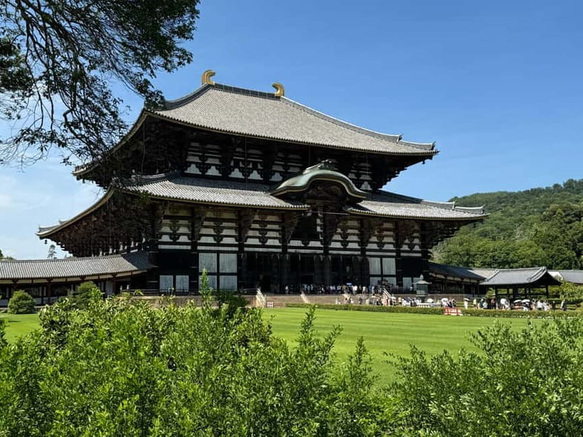 Nara: Great Buddha, Kasuga Shrine & Deer Park Tour - Kasuga Taisha: the lantern forest that slows your mind