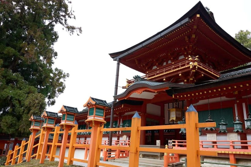 Nara: Great Buddha, Kasuga Shrine & Deer Park Tour - Value check: $77 for guide time plus real admissions