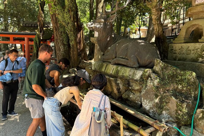 Nara Highlight Walking Tour with Furoshiki Experience with Lunch - Todai-ji and the Great Buddha Hall: Why This Is the Main Event