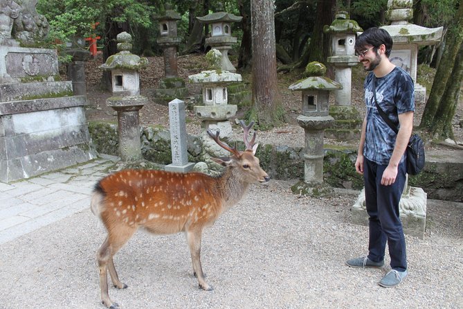 Nara - Highlights Bike Tour - Why cycling Nara feels so efficient