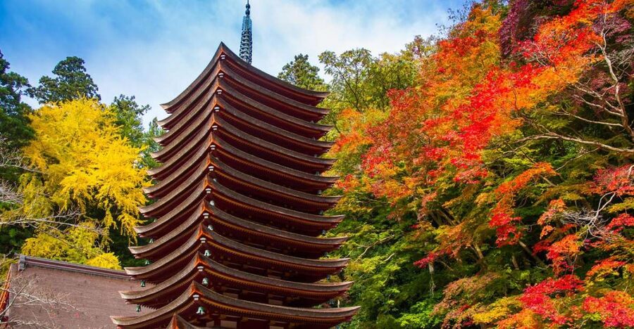 Nara: Private Tour with Private Guide - Key Takeaways Before You Go