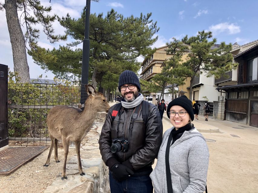 Nara: Private Tour with Private Guide - Why Nara Works So Well With a Private Guide