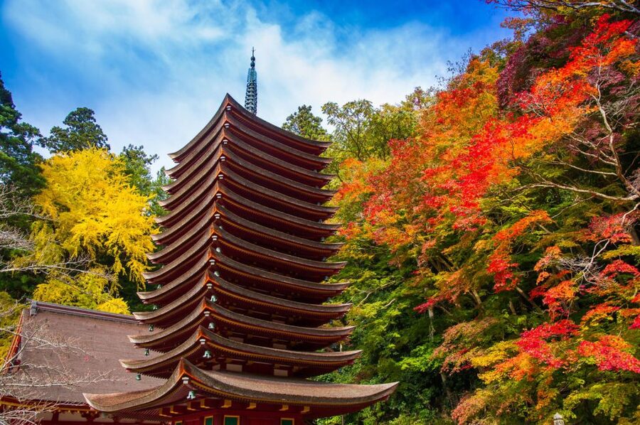 Nara: Private Tour with Private Guide - Meeting Your Guide, Then Getting Moving on Foot or by Taxi