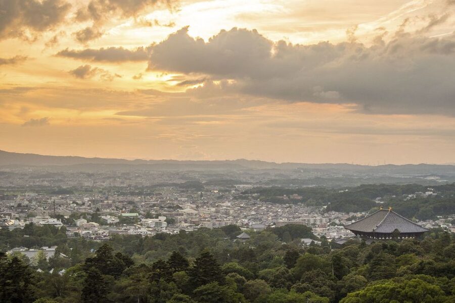 Nara: Private Walking Tour with a Local - Key highlights to know before you go