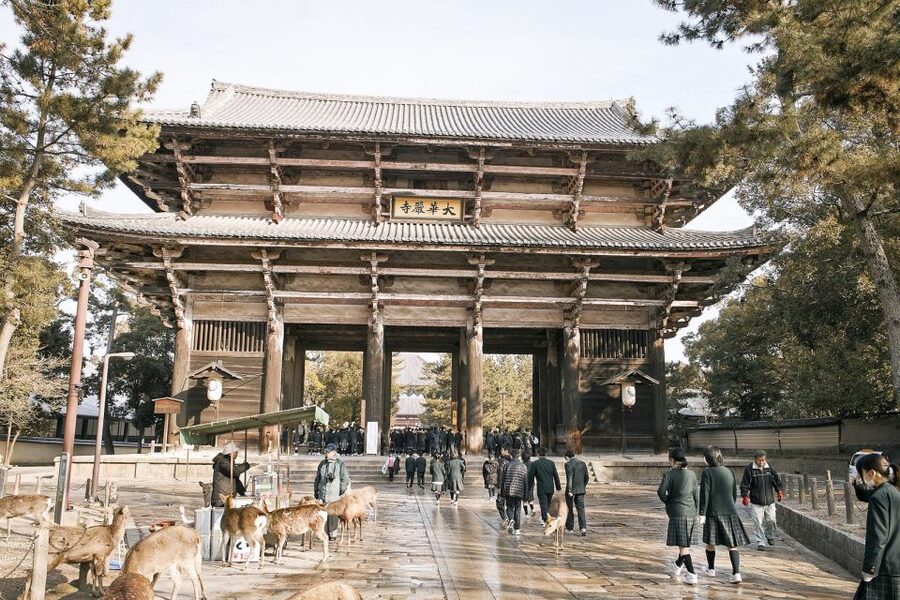 Nara: Private Walking Tour with a Local - Names Matter: Eugene and Ursula as Examples of the Style
