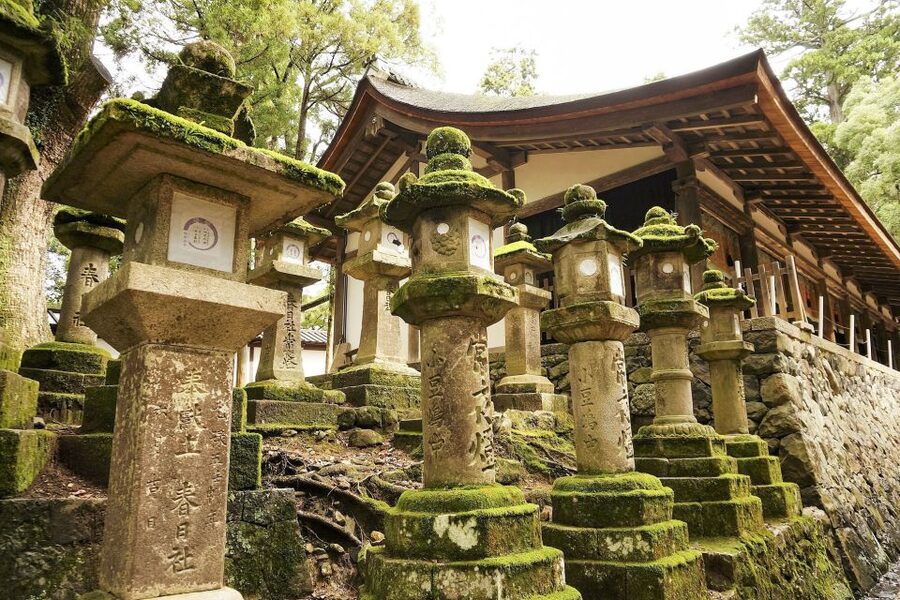 Nara: Private Walking Tour with a Local - Price and Value: Is $82 Per Person Worth It?