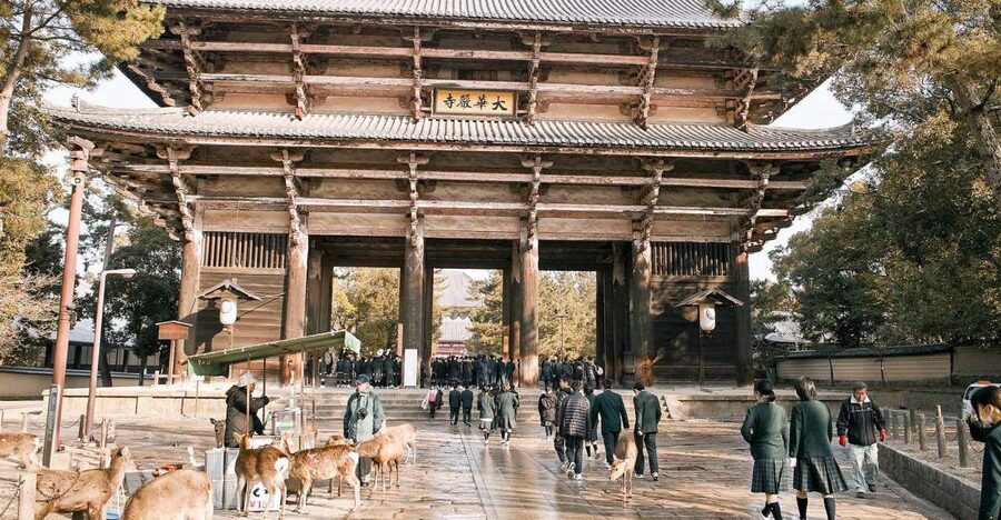 Nara: Private Walking Tour with a Local - Pick a Meeting Spot That Matches Your First Steps