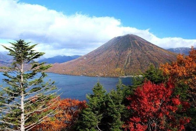 Nikko Full-Day Private Tour with Government-Licensed Guide - Nikko Tosho-gu, where the Tokugawa story becomes sculpture