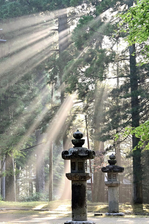 Nikko Heritage & Nature Day Trip from Tokyo - When this Nikko day trip is the best fit for you