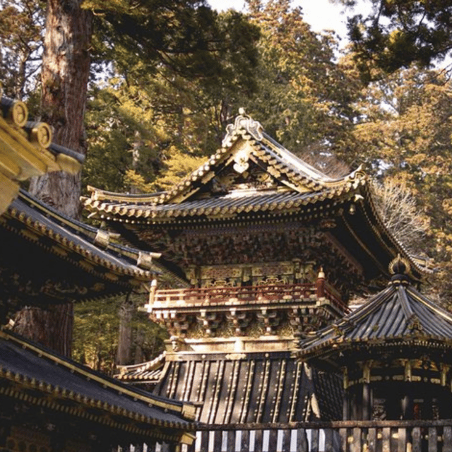 Nikko Heritage & Nature Day Trip from Tokyo - Driver quality matters, and the guide names are the clue