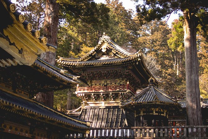 Nikko Private Day Tour from Tokyo with English-Speaking Driver - The drive to Nikko: time, traffic, and stop planning